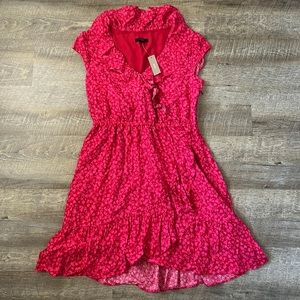NWT J.Crew Flower Ruffle Dress Size 4